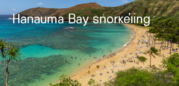 Hanauma Bay Snorkeling